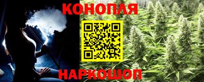 гидра Краснодар