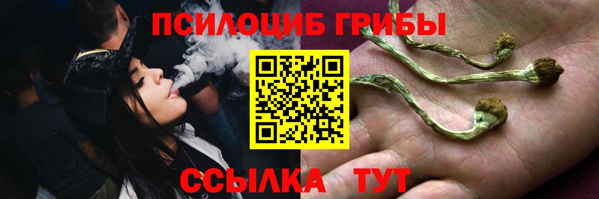 Галлюциногенные грибы прущие грибы Златоуст
